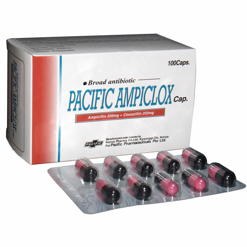 Pacific AA Online Shop Ampiclox Detail Pacific AA Online Shop Ampiclox Detail