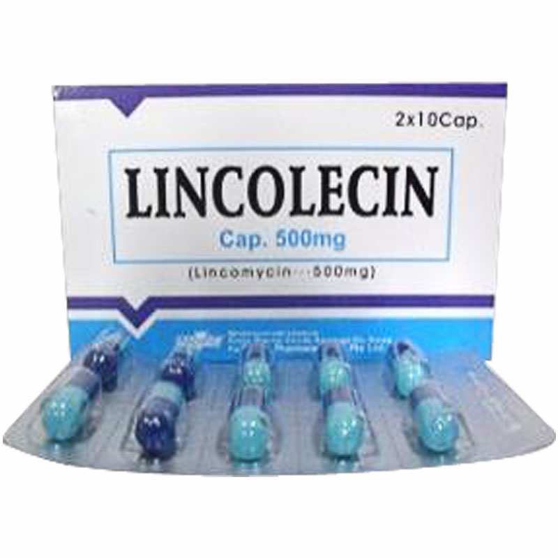 what is the use of lincomycin capsule