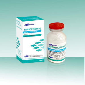 Newropenem Inj 1g (1 Vial)